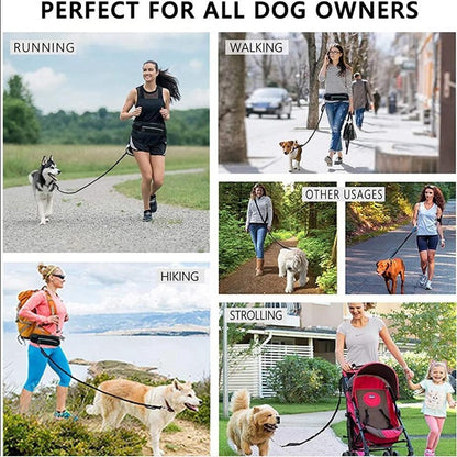 Hands Free Dog Leash with Shock Absorbing Bungee