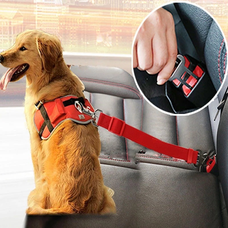 Ride Ready: Adjustable Dog Car Seat Belt for Safe Travels