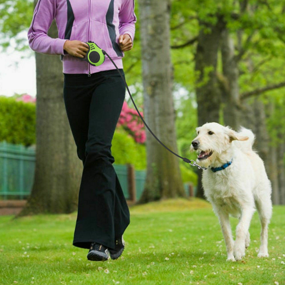 Walk & Roll: Automatic Retractable Dog Leash