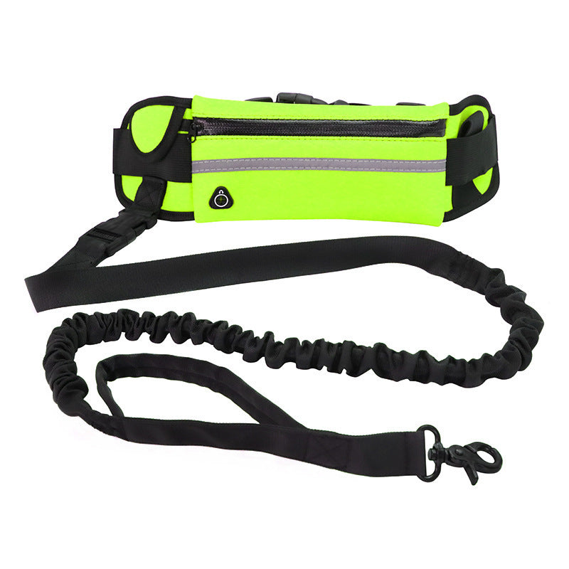 Hands Free Dog Leash with Shock Absorbing Bungee