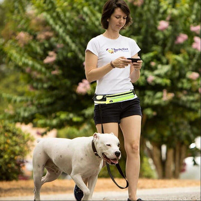 Hands Free Dog Leash with Shock Absorbing Bungee