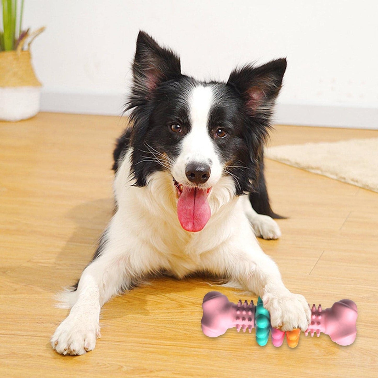 Chew Champion: Indestructible Dog Bone Toy