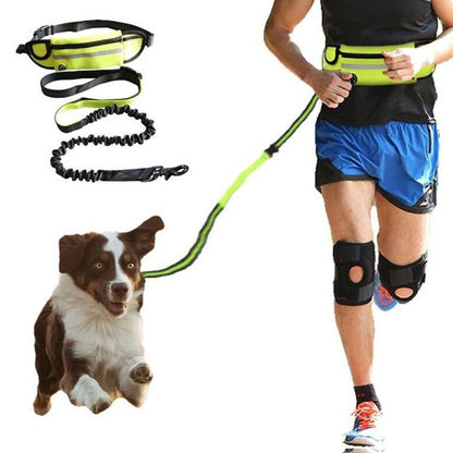 Hands Free Dog Leash with Shock Absorbing Bungee