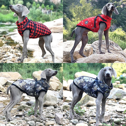 Adventure Ready: Waterproof Winter Warm Dog Jacket with Harness