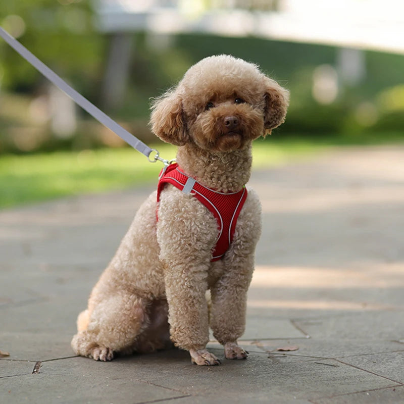 Pawfect Fit: Adjustable Puppy Harness and Leash Set