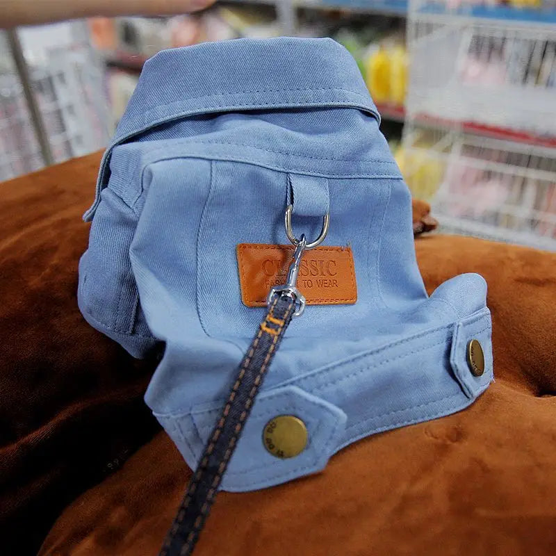 Doggy Denim: Spring Dog Suit with Leash Ring