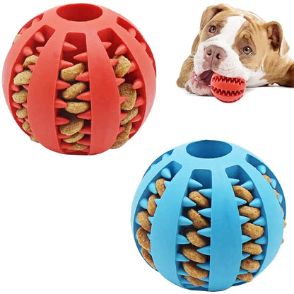 Bounce & Chew: Interactive Dog Ball Toy