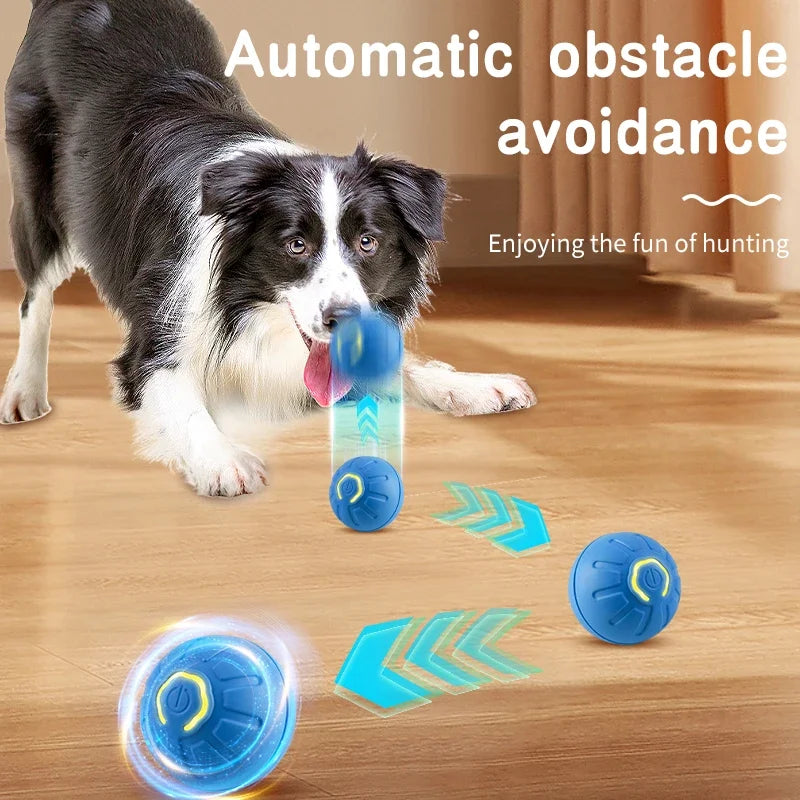 Wag & Bounce: Smart Interactive Dog Toy Ball