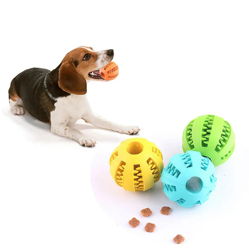 Bounce & Chew: Interactive Dog Ball Toy