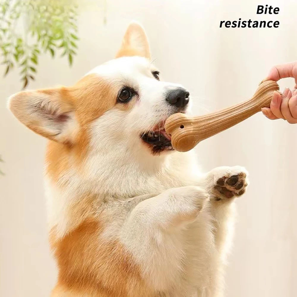 Chomp & Play: Bite-Resistant Dog Stick Chew Toys