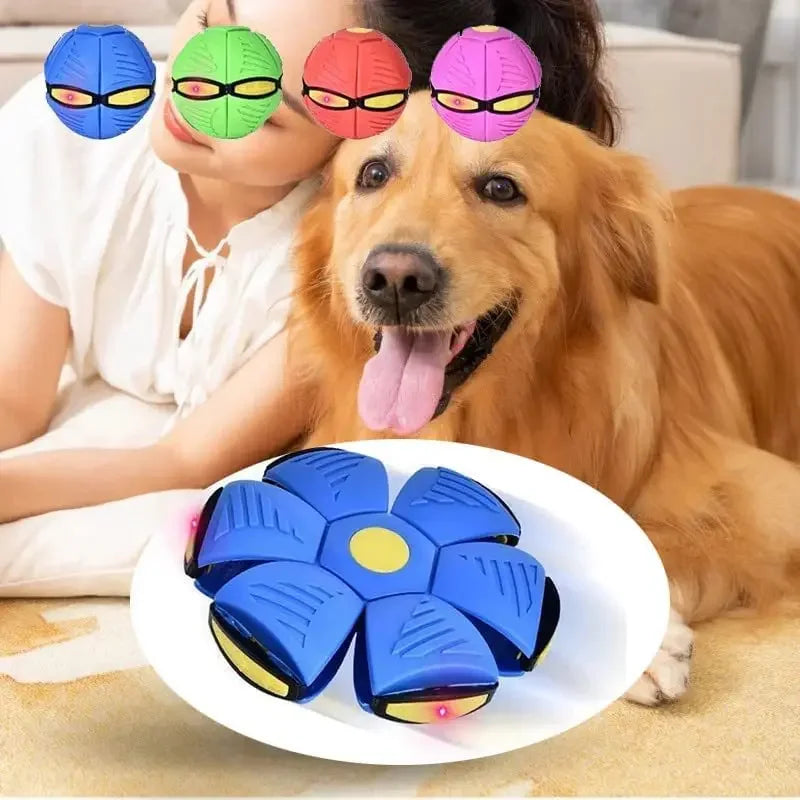 Fly & Fetch Frenzy: The Ultimate UFO Saucer Ball for Dogs