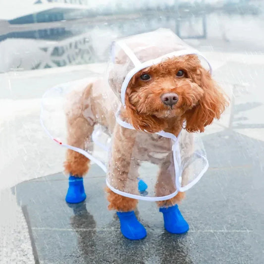 Puddle Jumper: Clear Pet Raincoat for Dogs