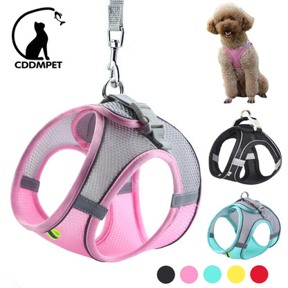 Pawfect Fit: Adjustable Puppy Harness and Leash Set