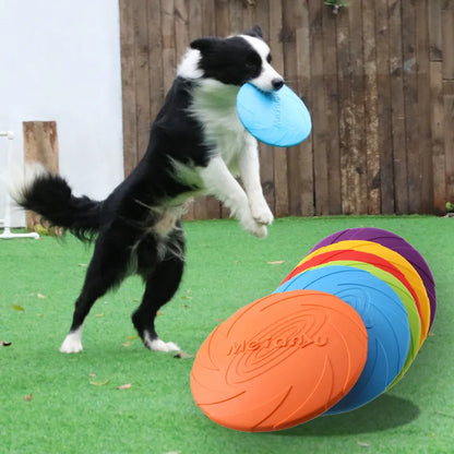 Fly High Fun: OUZEY Bite-Resistant Flying Disc for Dogs