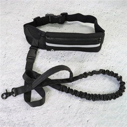 Hands Free Dog Leash with Shock Absorbing Bungee