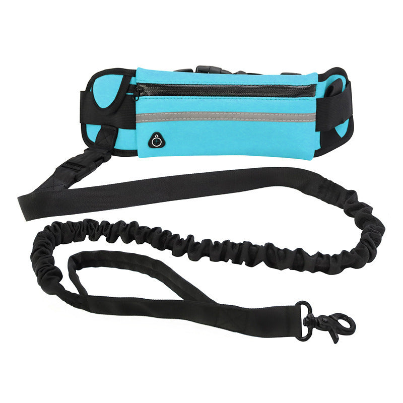 Hands Free Dog Leash with Shock Absorbing Bungee