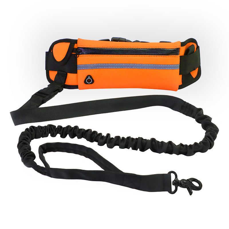 Hands Free Dog Leash with Shock Absorbing Bungee