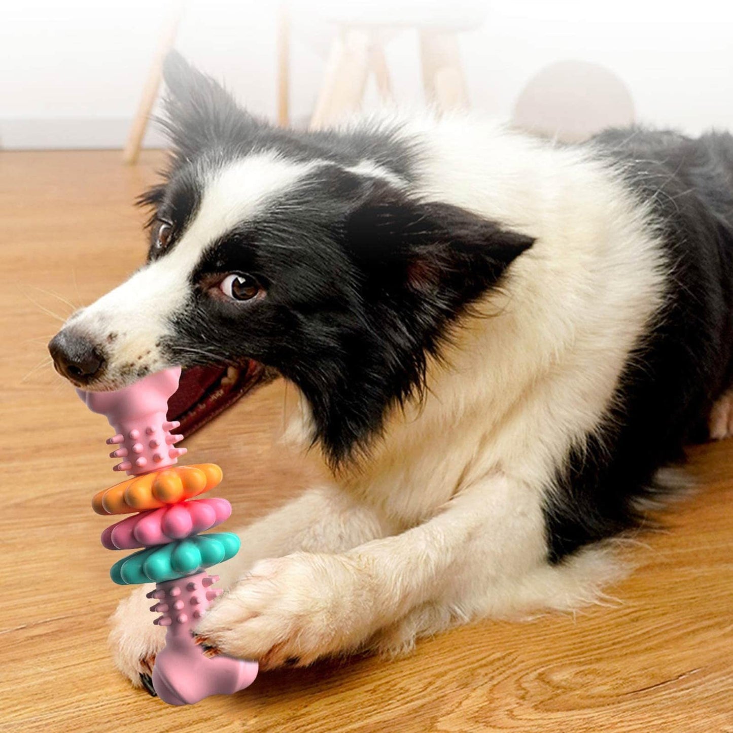 Chew Champion: Indestructible Dog Bone Toy