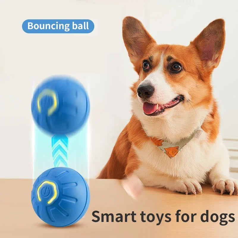 Wag & Bounce: Smart Interactive Dog Toy Ball