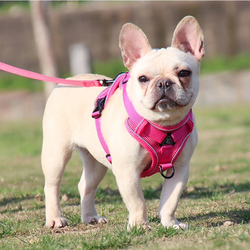 Pink Dog Harness - No Pull