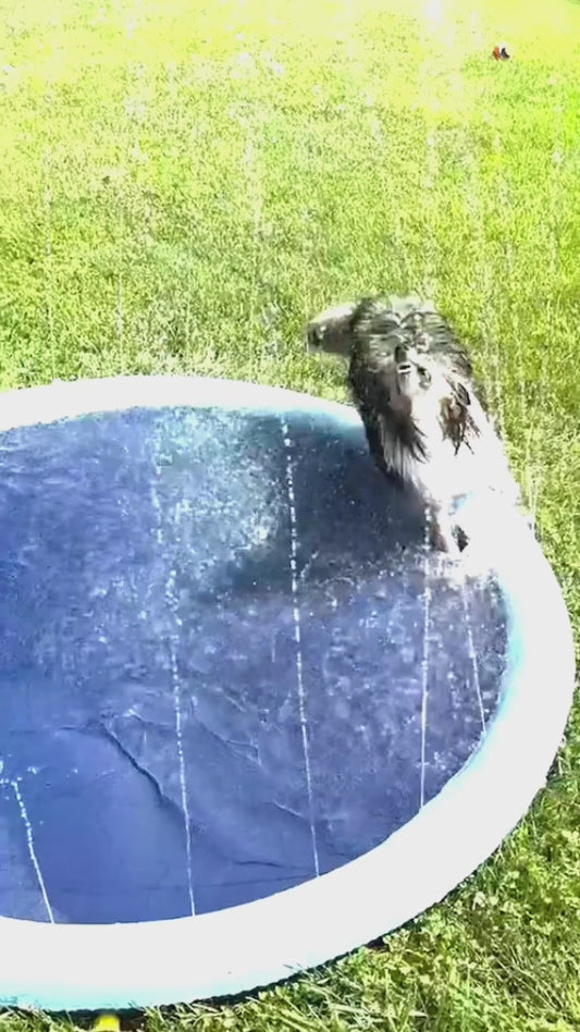 Splash Zone: Cool Off Your Pup on Hot Summer Days Inflatable Pet Swimming Pool and Water Sprinkler Pad